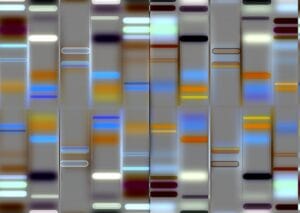 istock-179220393-6905974-jpgkeepprotocol-7198548-jpeg