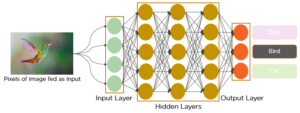94709convolutional_neural_network_to_identify_the_image_of_a_bird-4325144-7735818-png