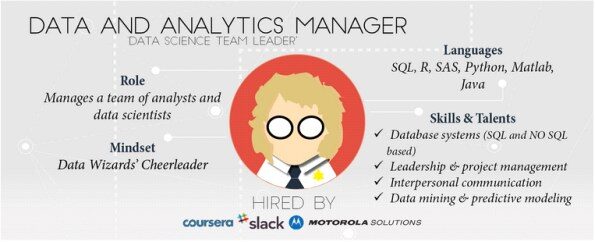 data-analytics-manager-infographic-5672461