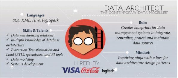 data-architect-infographic-5647218